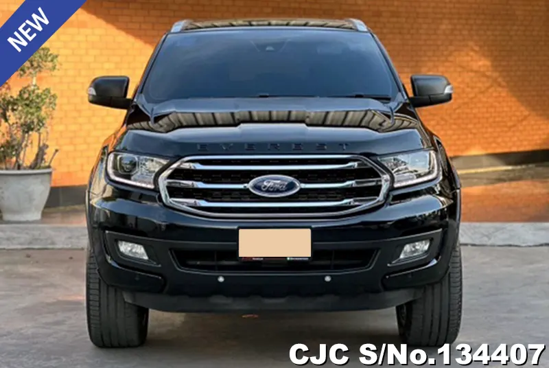 2020 Ford / Everest Stock No. 134407