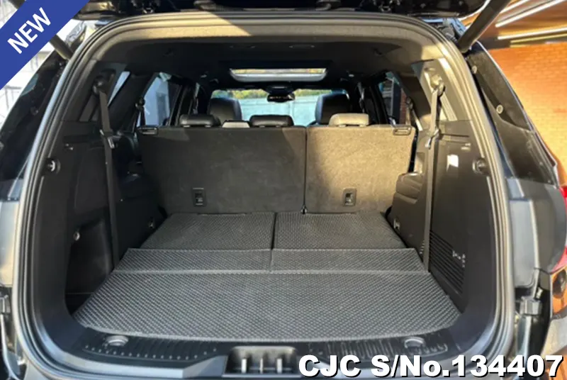 2020 Ford / Everest Stock No. 134407