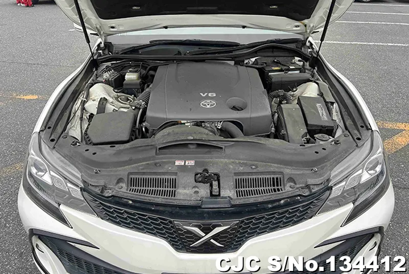 Toyota Mark X in Pearl for Sale Image 14