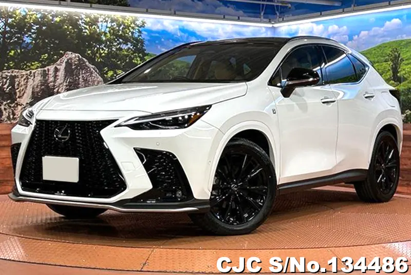 2025 Lexus / NX 350H Stock No. 134486