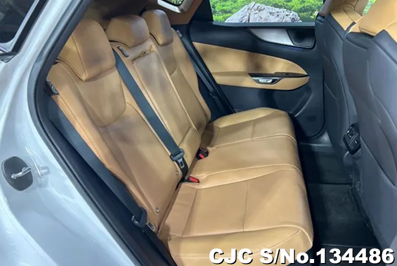 2025 Lexus / NX 350H Stock No. 134486