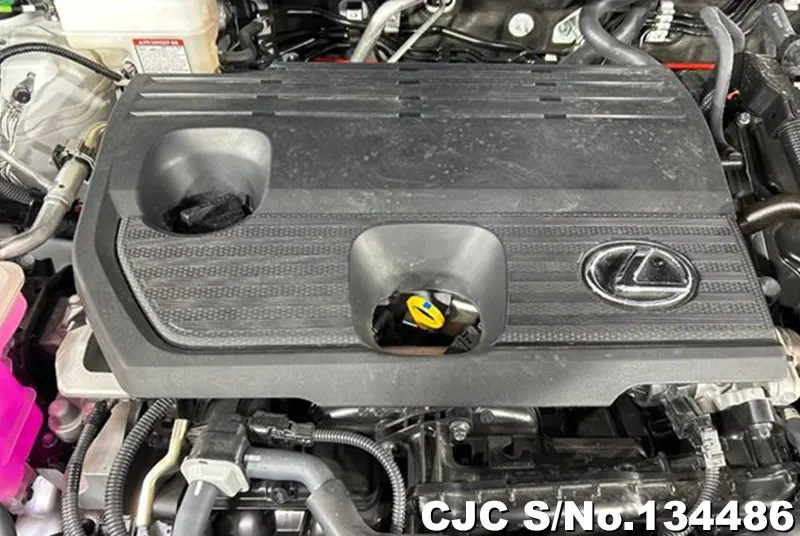 2025 Lexus / NX 350H Stock No. 134486