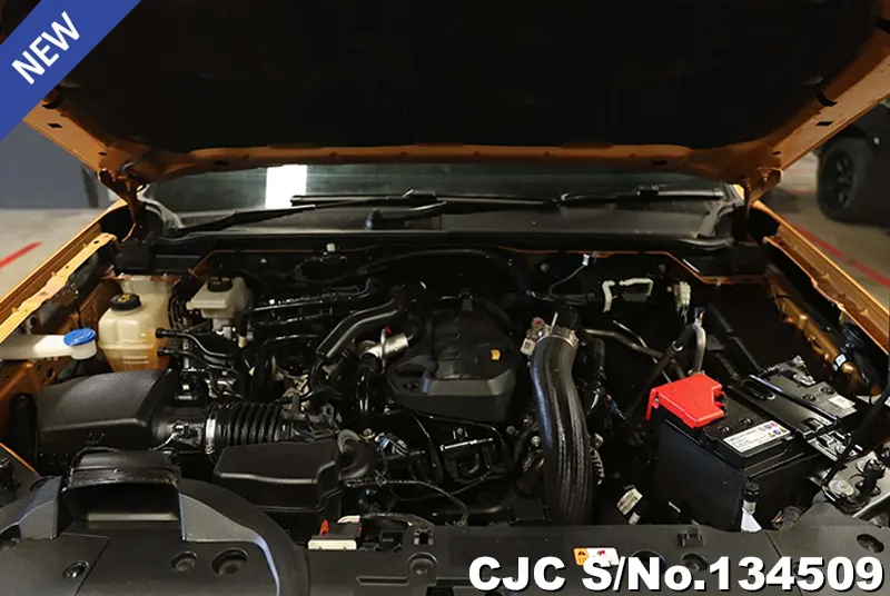 2023 Ford / Ranger Stock No. 134509