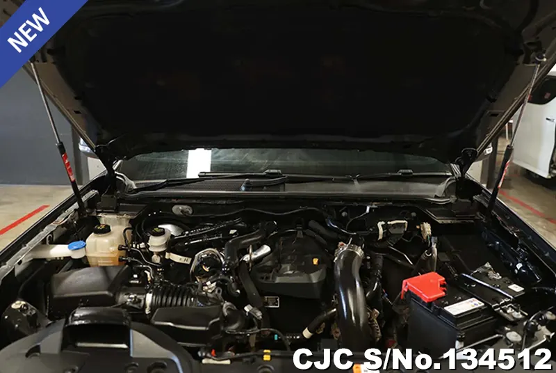 2023 Ford / Ranger Stock No. 134512