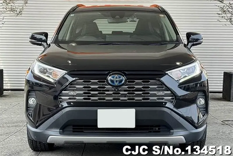 2021 Toyota / Rav4 Stock No. 134518