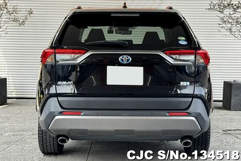 2021 Toyota / Rav4 Stock No. 134518