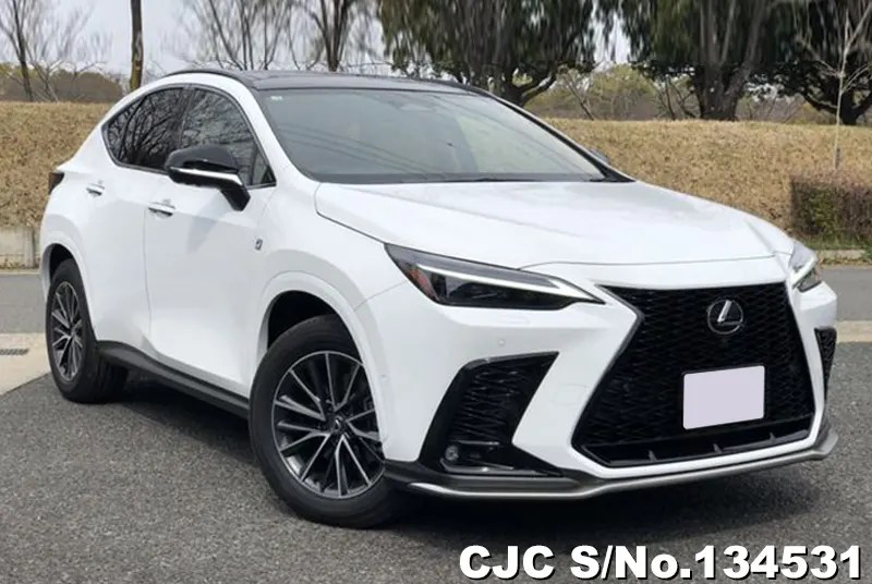 2025 Lexus / NX 350H Stock No. 134531