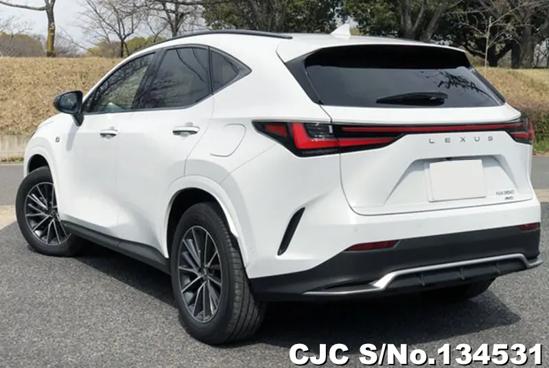2025 Lexus / NX 350H Stock No. 134531