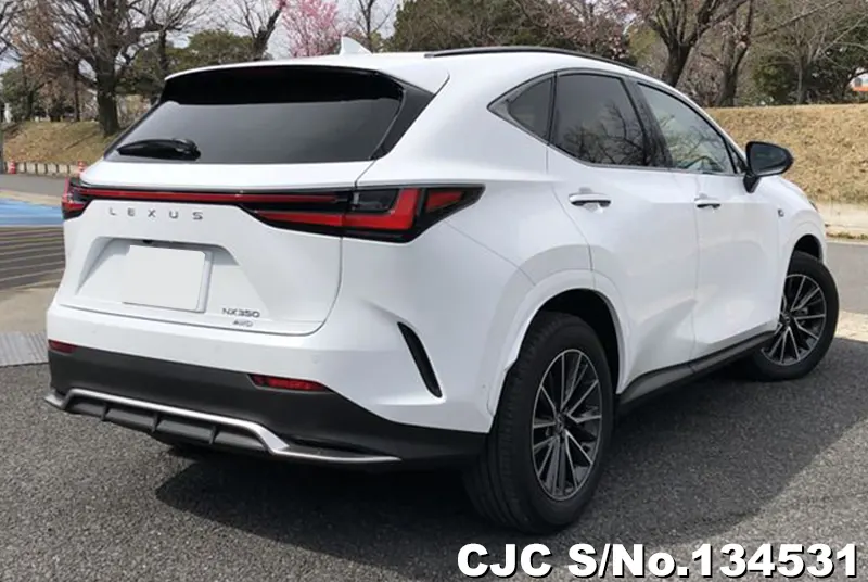 2025 Lexus / NX 350H Stock No. 134531