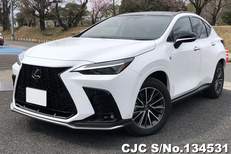 2025 Lexus / NX 350H Stock No. 134531