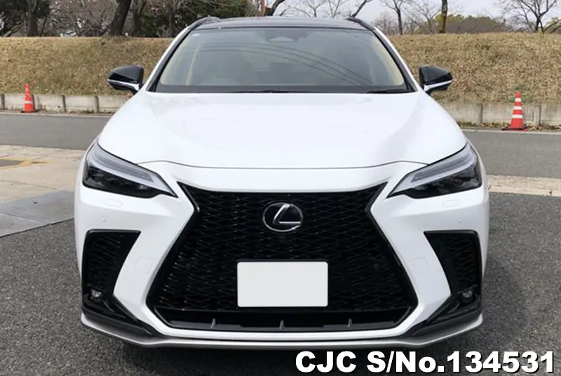 2025 Lexus / NX 350H Stock No. 134531