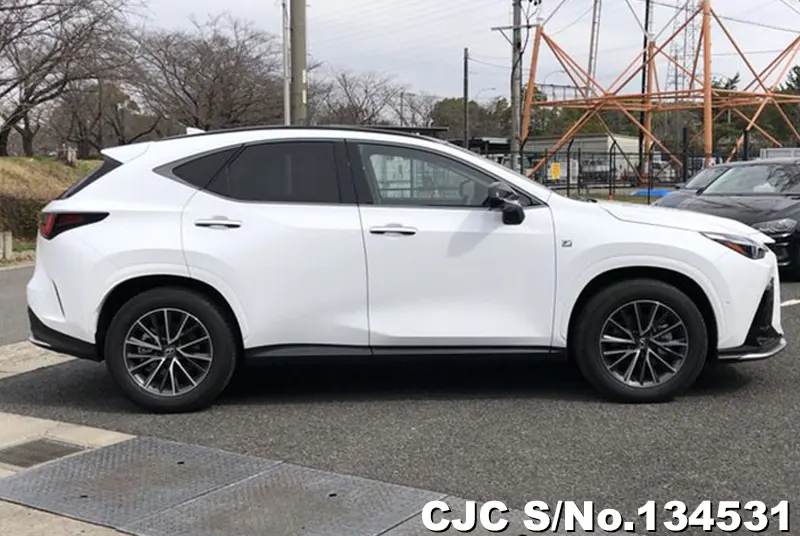 2025 Lexus / NX 350H Stock No. 134531