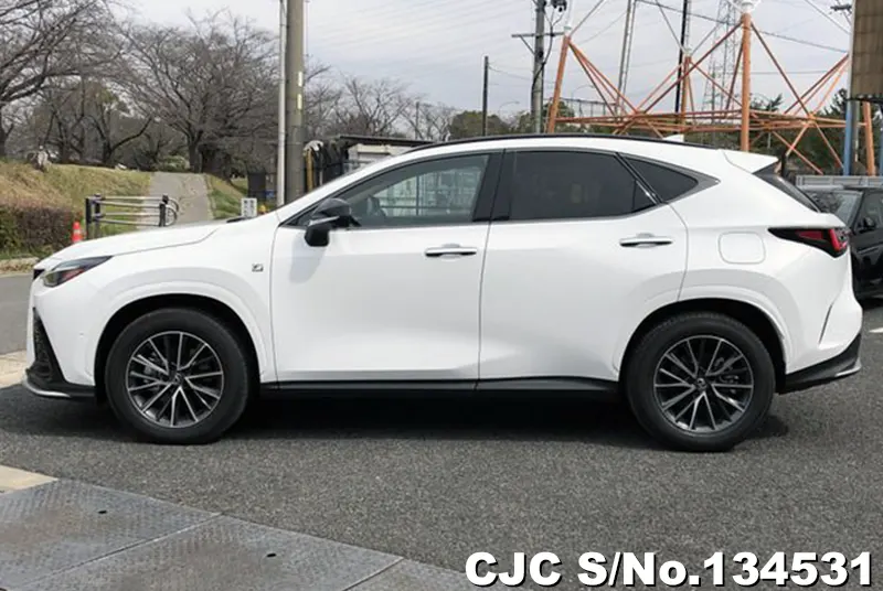 2025 Lexus / NX 350H Stock No. 134531