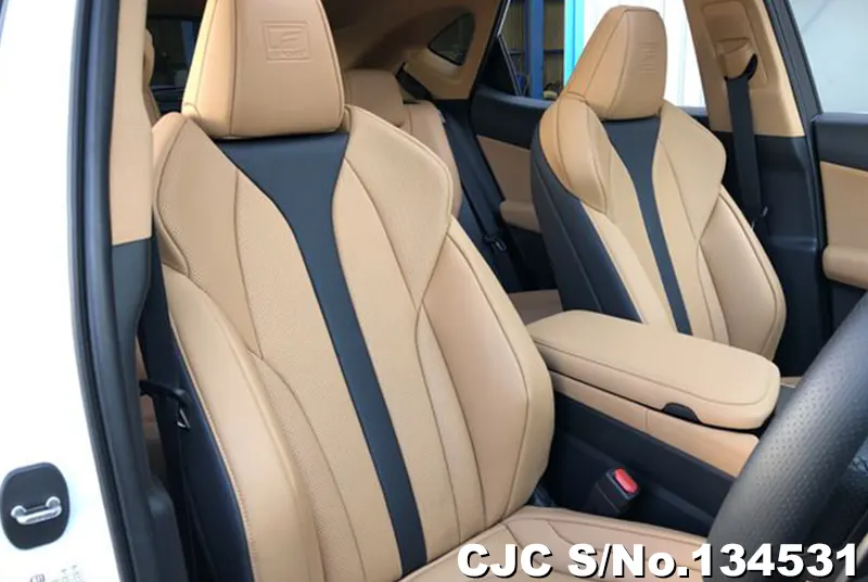 2025 Lexus / NX 350H Stock No. 134531