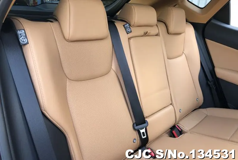 2025 Lexus / NX 350H Stock No. 134531