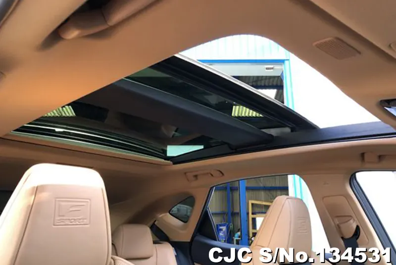 2025 Lexus / NX 350H Stock No. 134531