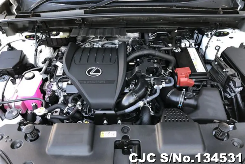 2025 Lexus / NX 350H Stock No. 134531