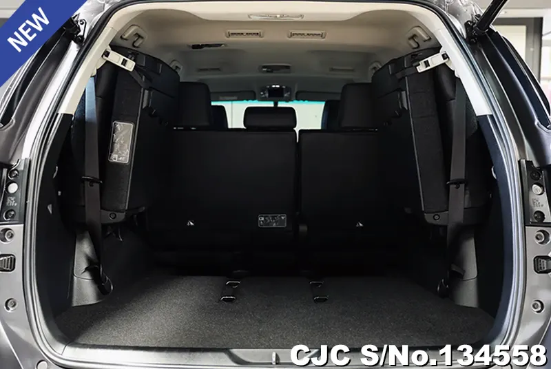 2021 Toyota / Fortuner Stock No. 134558