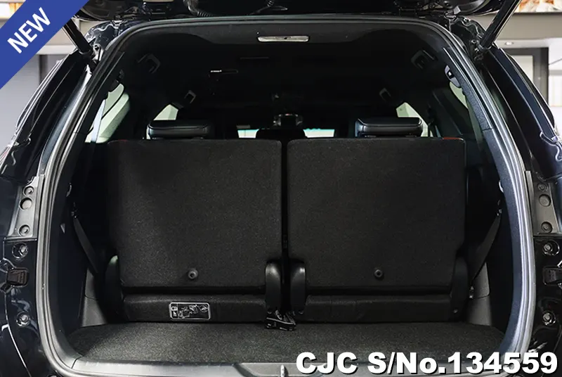 2021 Toyota / Fortuner Stock No. 134559