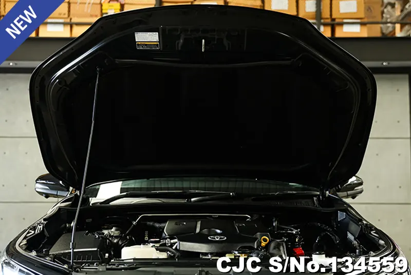 2021 Toyota / Fortuner Stock No. 134559