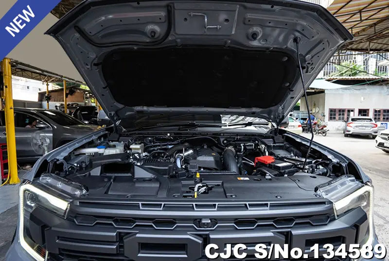 2025 Ford / Ranger / Raptor Stock No. 134589