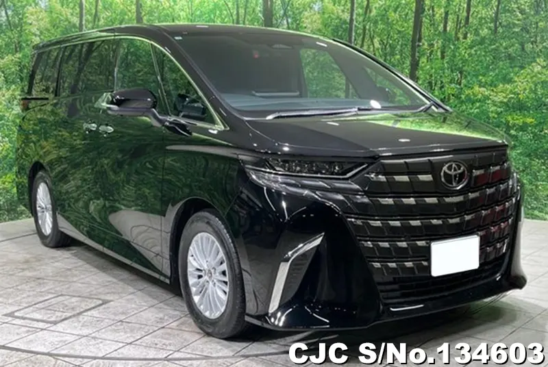 2025 Toyota / Alphard Stock No. 134603