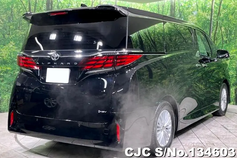 2025 Toyota / Alphard Stock No. 134603