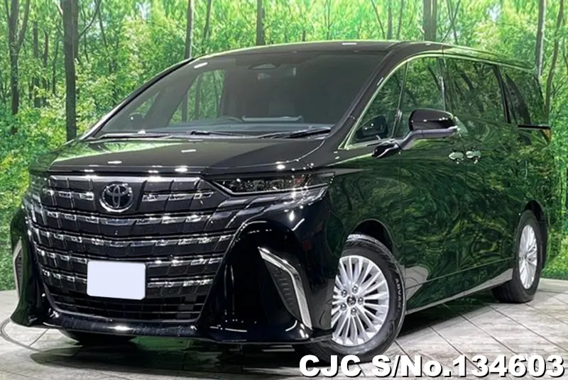 2025 Toyota / Alphard Stock No. 134603