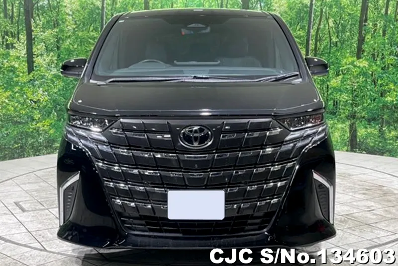 2025 Toyota / Alphard Stock No. 134603