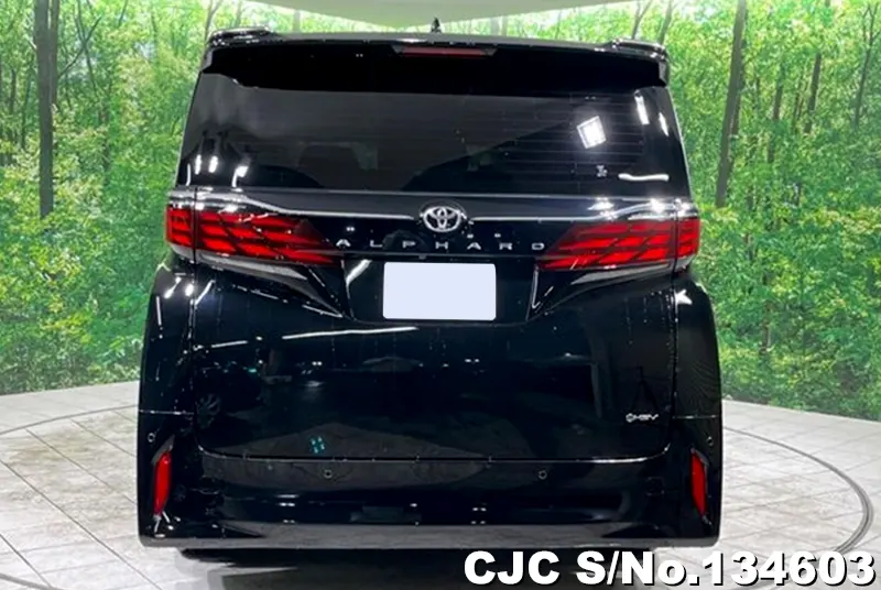 2025 Toyota / Alphard Stock No. 134603