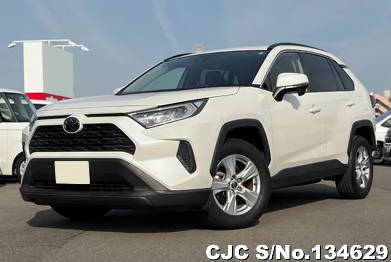 2019 Toyota / Rav4 Stock No. 134629