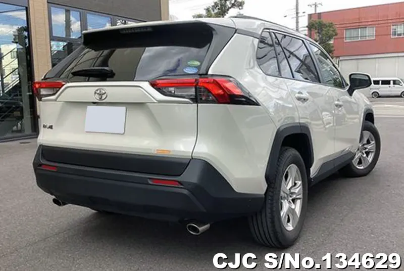 2019 Toyota / Rav4 Stock No. 134629