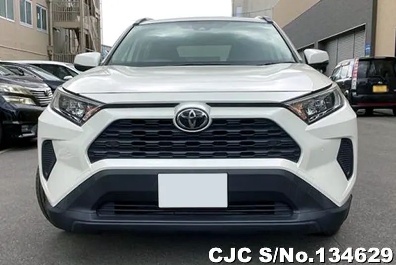 2019 Toyota / Rav4 Stock No. 134629