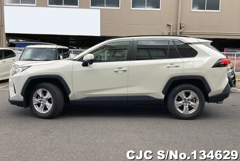 2019 Toyota / Rav4 Stock No. 134629