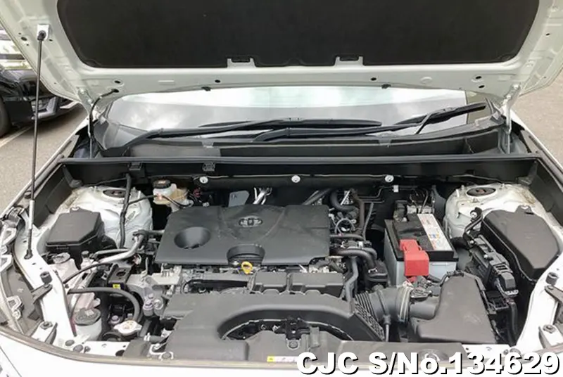 2019 Toyota / Rav4 Stock No. 134629