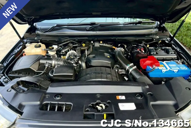 2019 Ford / Ranger Stock No. 134665