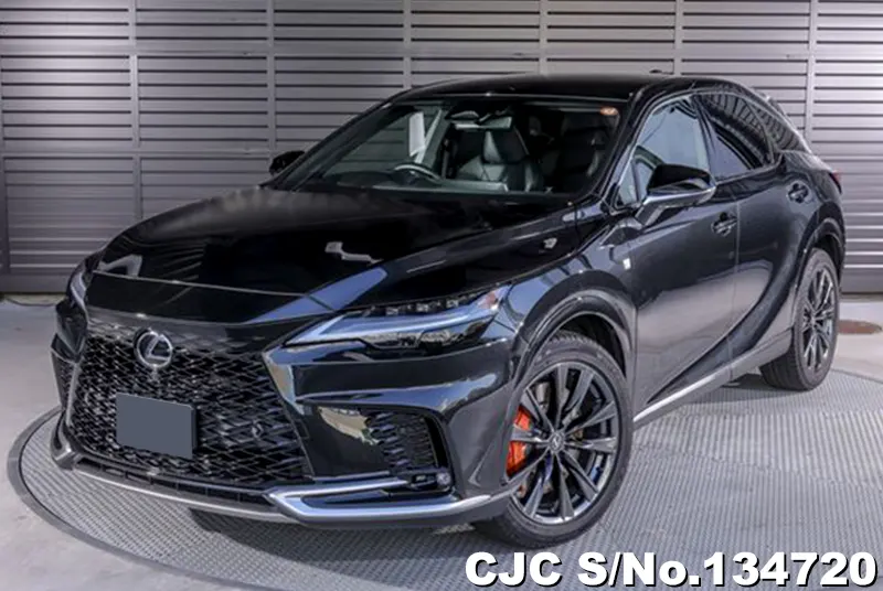 2025 Lexus / RX 350 Stock No. 134720