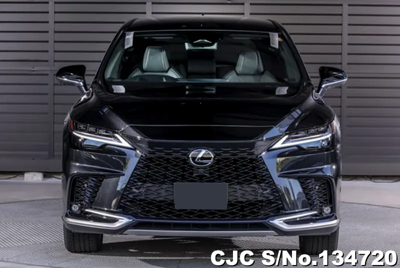 2025 Lexus / RX 350 Stock No. 134720