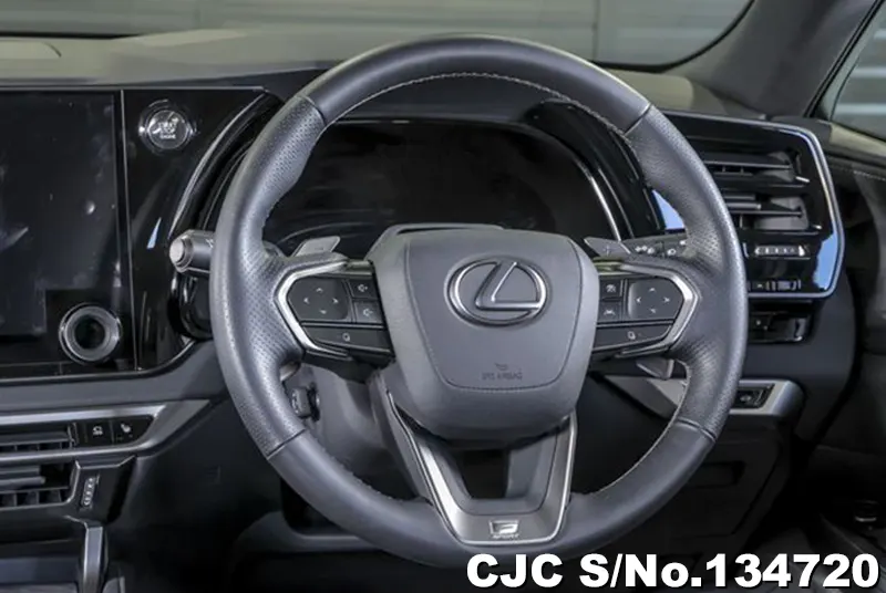 2025 Lexus / RX 350 Stock No. 134720