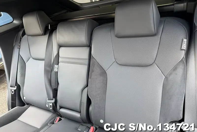 2025 Lexus / RX 350 Stock No. 134721