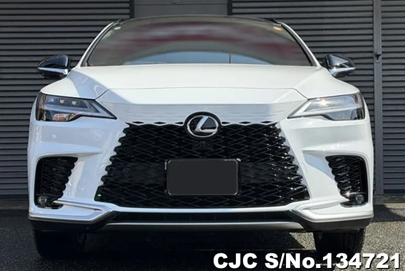 2025 Lexus / RX 350 Stock No. 134721