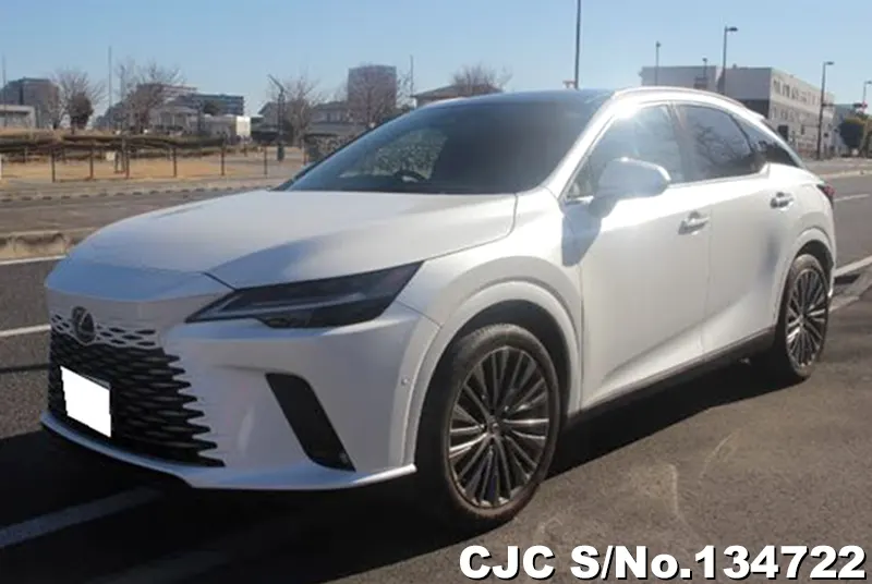 2025 Lexus / RX 350 Stock No. 134722