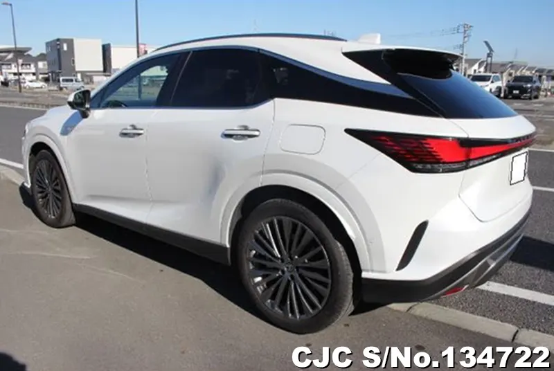 2025 Lexus / RX 350 Stock No. 134722