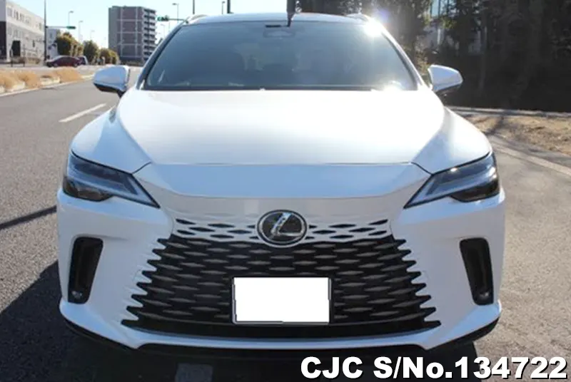2025 Lexus / RX 350 Stock No. 134722