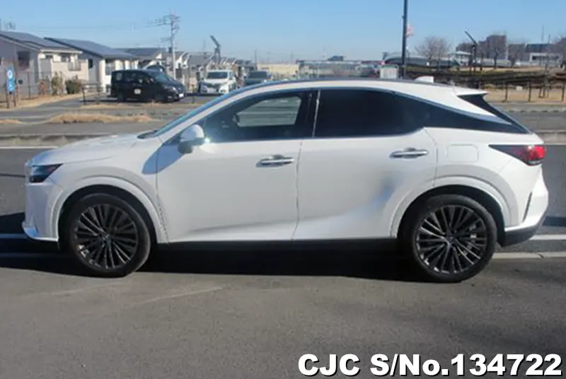 2025 Lexus / RX 350 Stock No. 134722