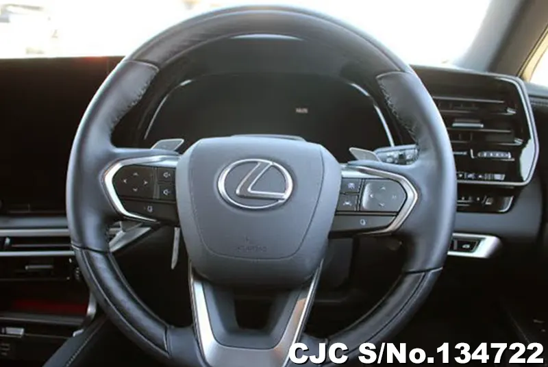 2025 Lexus / RX 350 Stock No. 134722