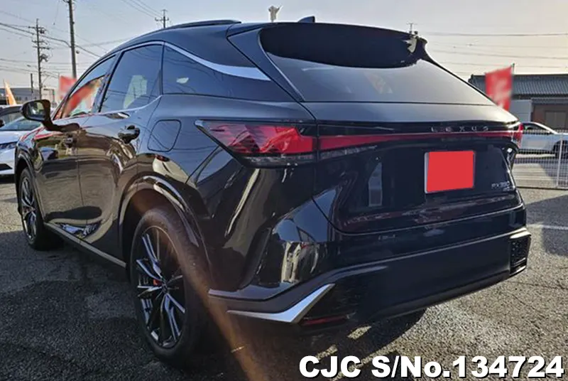 2025 Lexus / RX 350 Stock No. 134724