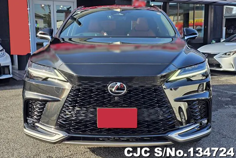2025 Lexus / RX 350 Stock No. 134724