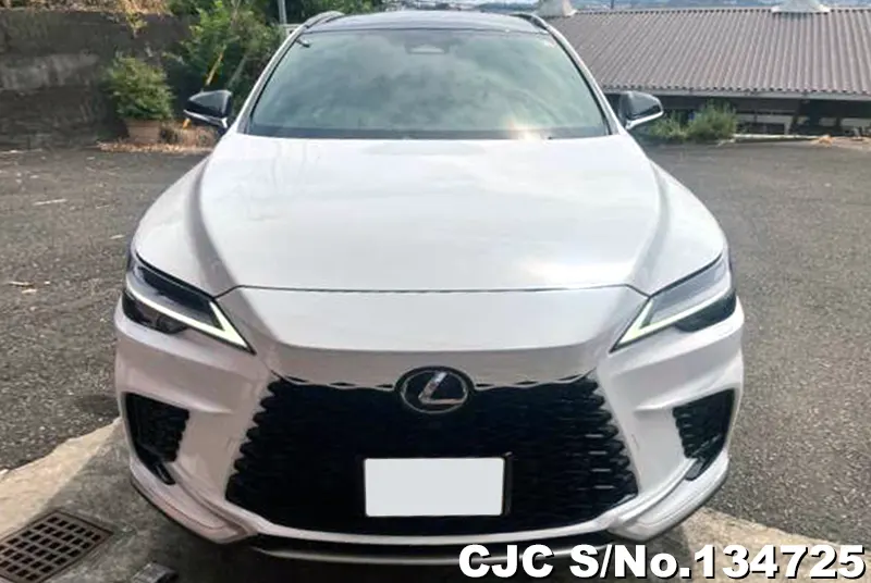 2025 Lexus / RX 350 Stock No. 134725