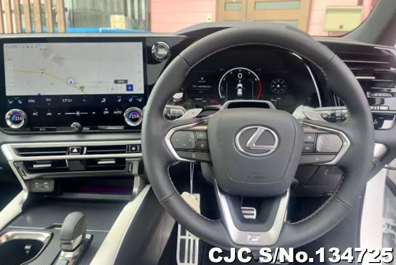 2025 Lexus / RX 350 Stock No. 134725